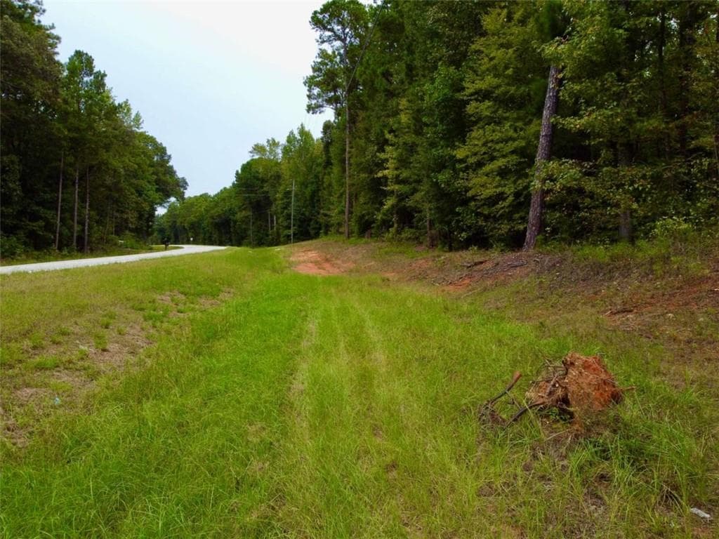 unimproved land for sale at 375 Highway 212, Covington, GA 30016 — photo 6