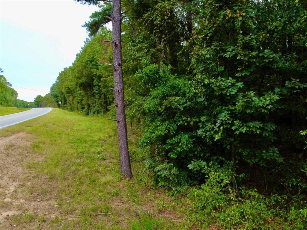 unimproved land for sale at 375 Highway 212, Covington, GA 30016 — photo 7
