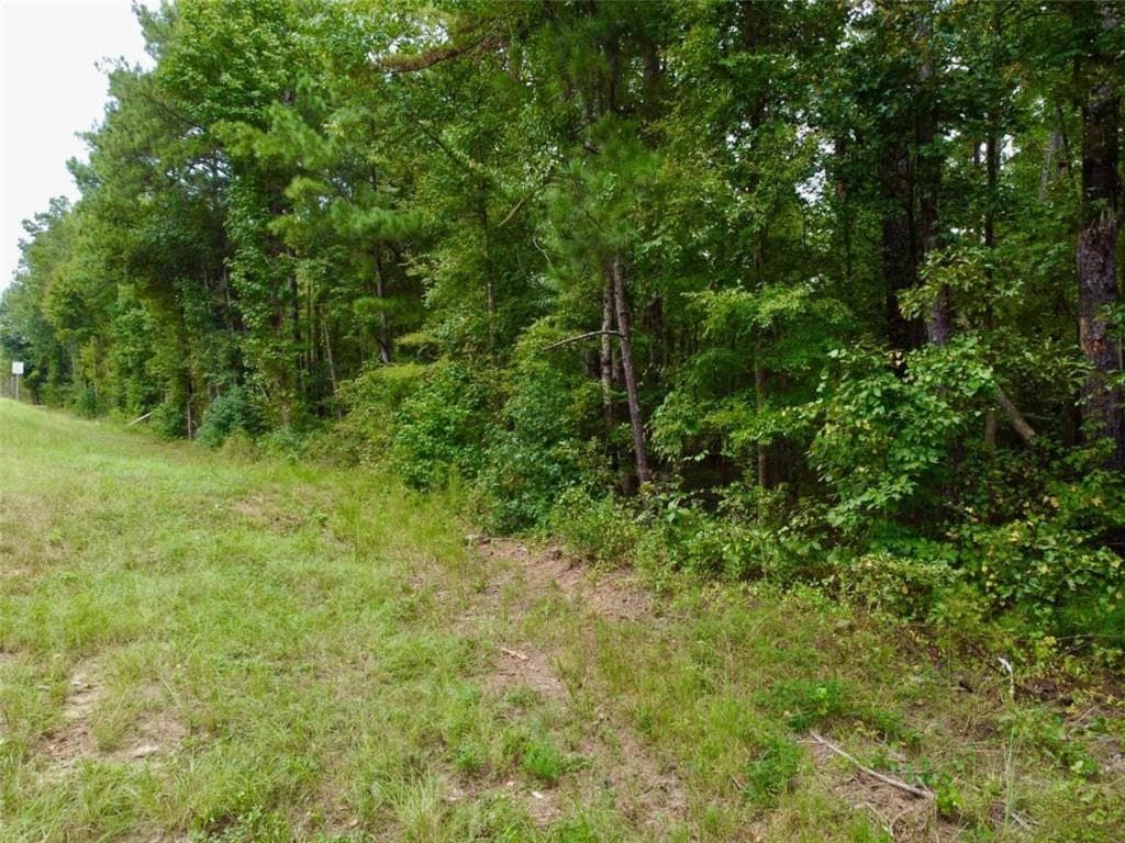unimproved land for sale at 375 Highway 212, Covington, GA 30016 — photo 8