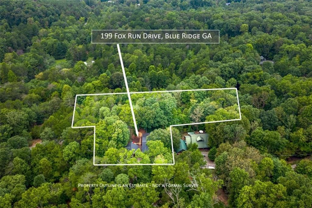 4 bedroom, 5 bathroom, 4,160 sq ft single family residence for sale at 199 Fox Run Drive, Blue Ridge, GA 30513 — photo 4