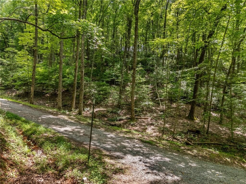 unimproved land for sale at 0 Jagger Run, Blue Ridge, GA 30513