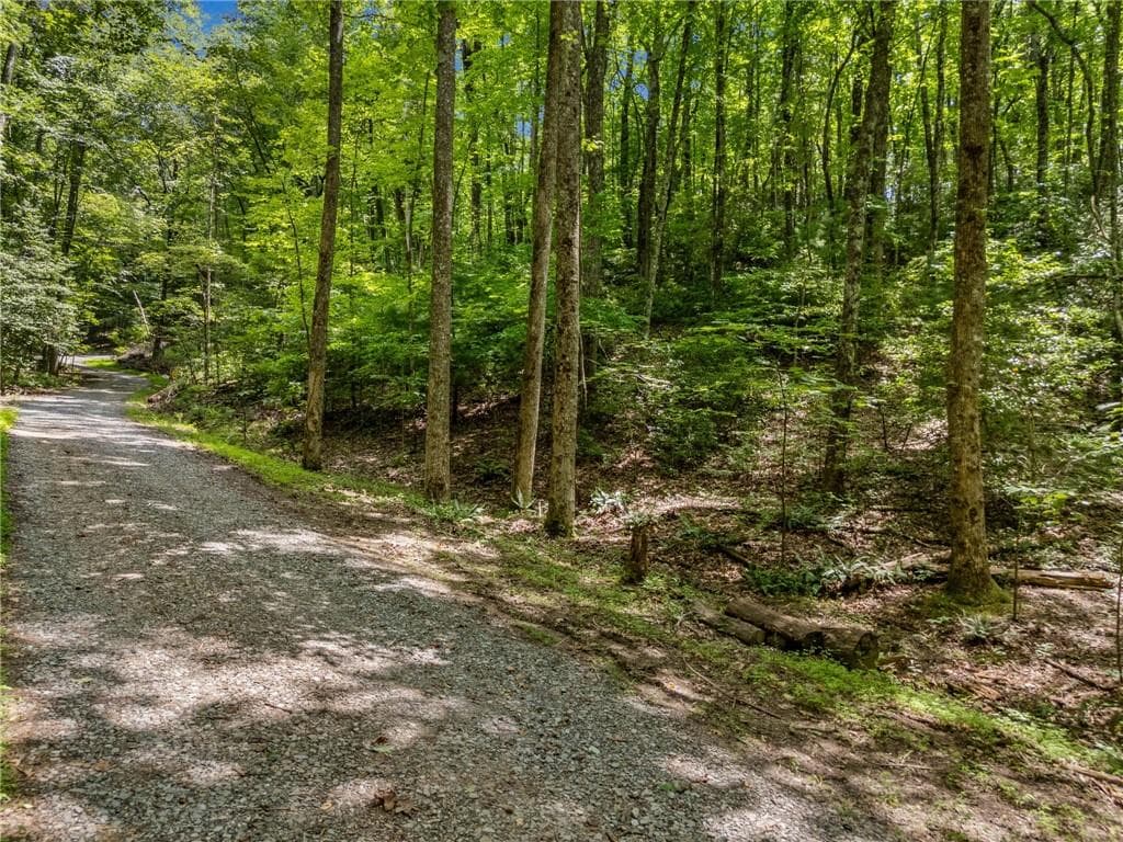 unimproved land for sale at 0 Jagger Run, Blue Ridge, GA 30513 — photo 2
