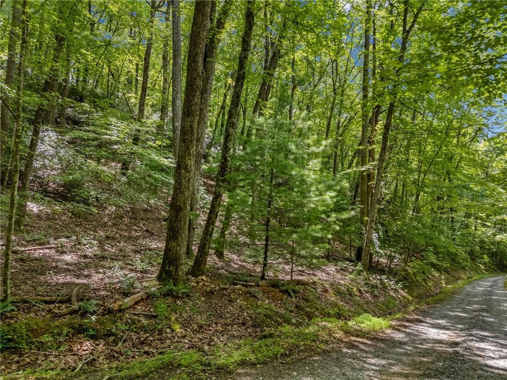 unimproved land for sale at 0 Jagger Run, Blue Ridge, GA 30513 — photo 3
