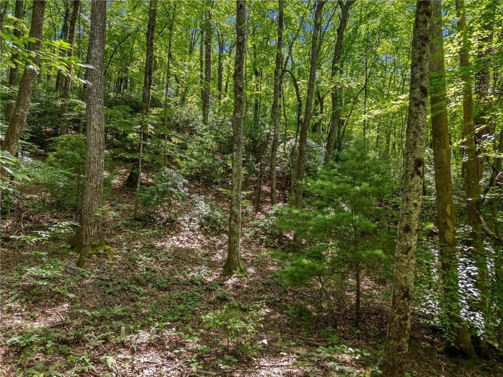 unimproved land for sale at 0 Jagger Run, Blue Ridge, GA 30513 — photo 4