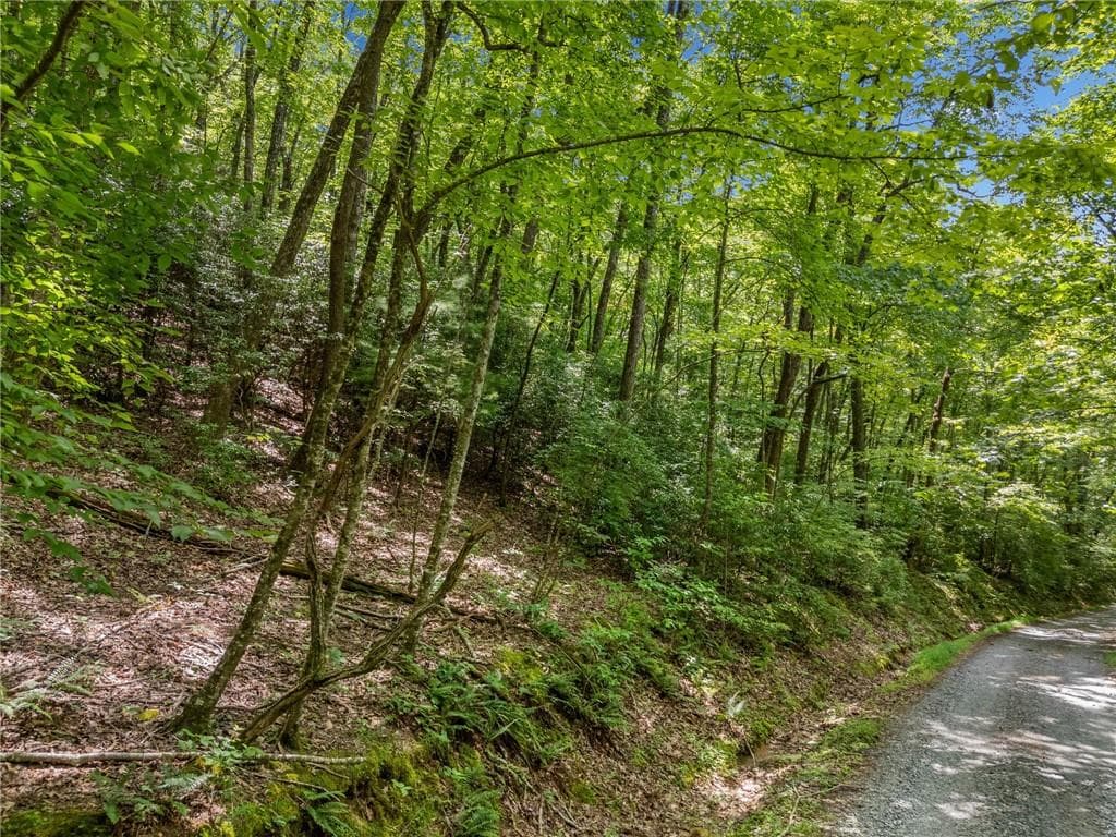 unimproved land for sale at 0 Jagger Run, Blue Ridge, GA 30513 — photo 5