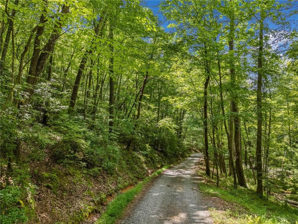 unimproved land for sale at 0 Jagger Run, Blue Ridge, GA 30513 — photo 6