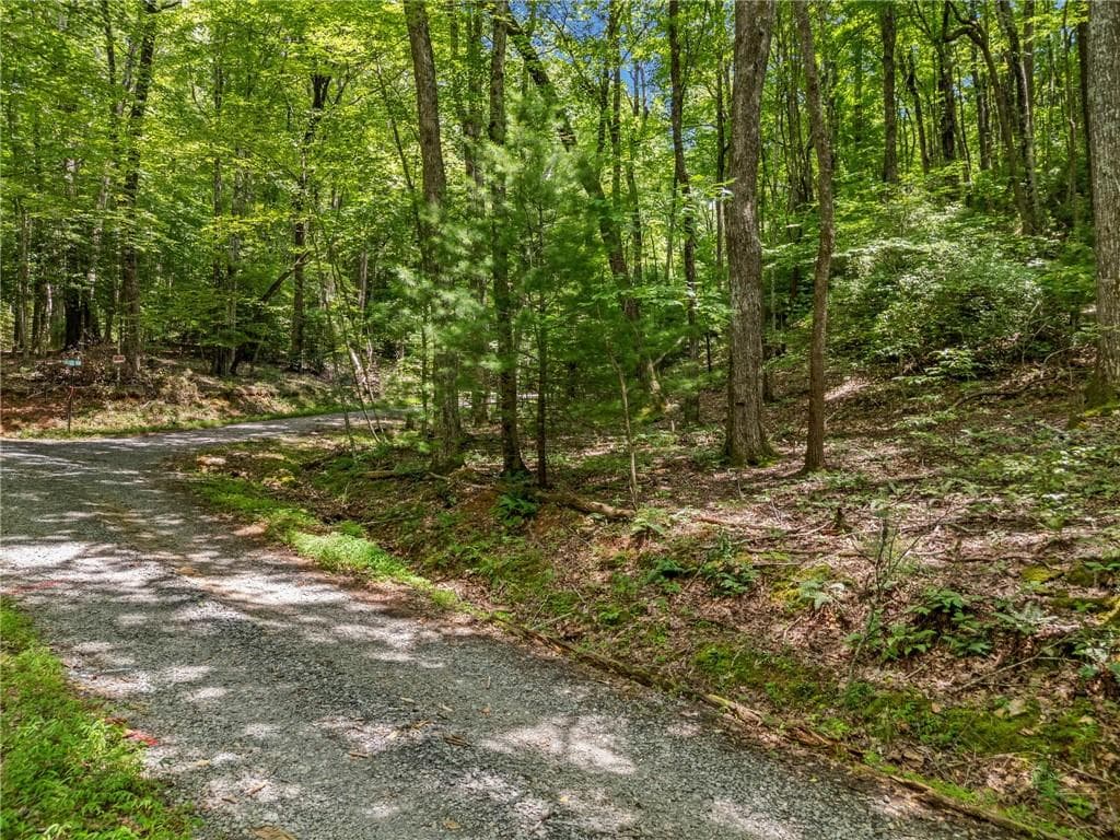 unimproved land for sale at 0 Jagger Run, Blue Ridge, GA 30513 — photo 7