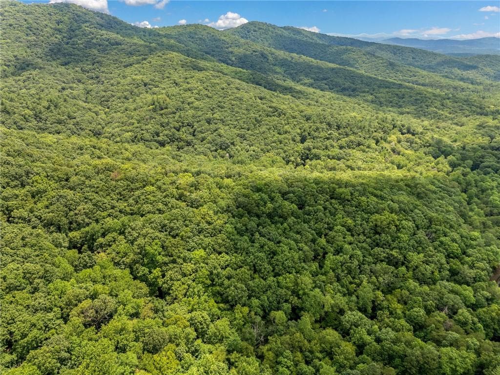 unimproved land for sale at 0 Jagger Run, Blue Ridge, GA 30513 — photo 8