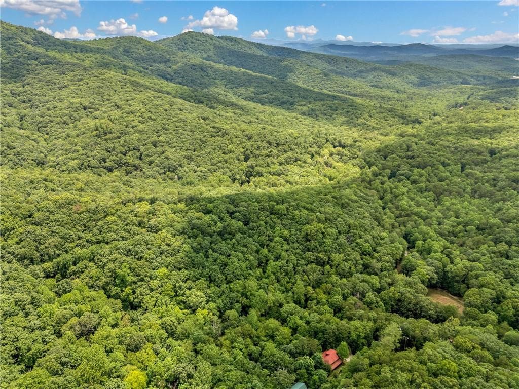 unimproved land for sale at 0 Jagger Run, Blue Ridge, GA 30513 — photo 9