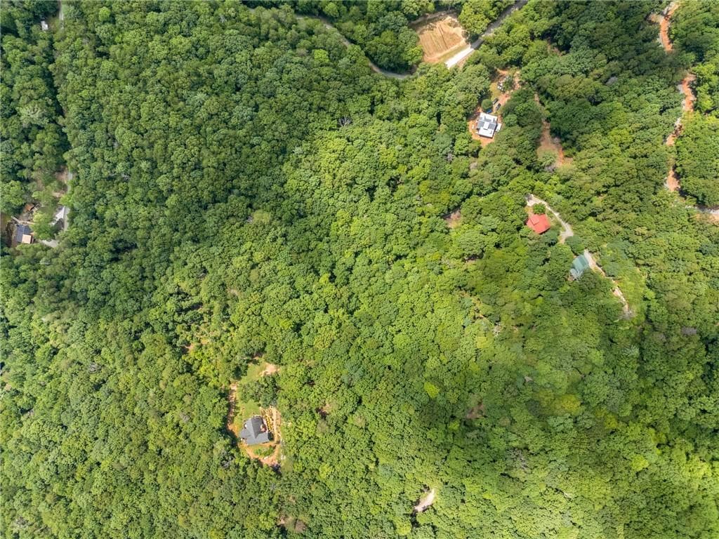 unimproved land for sale at 0 Jagger Run, Blue Ridge, GA 30513 — photo 10