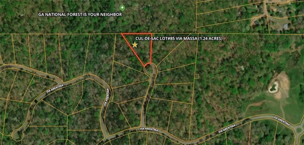 home for sale at 85 VIA MASSA, Dahlonega, GA