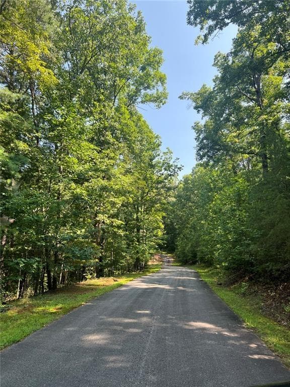 single family residence for sale at 85 VIA MASSA, Dahlonega, GA 30533 — photo 4