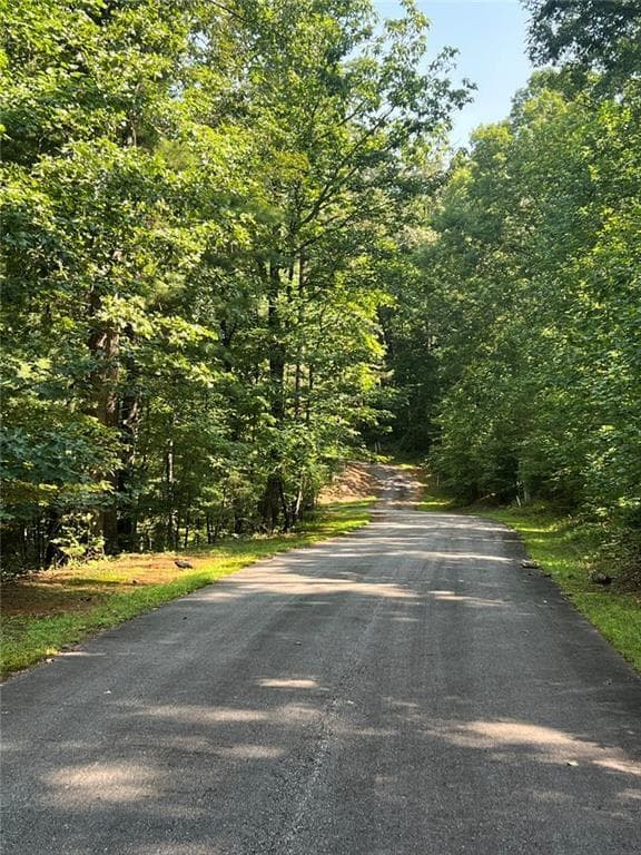 single family residence for sale at 85 VIA MASSA, Dahlonega, GA 30533 — photo 5