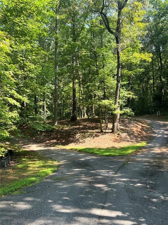 single family residence for sale at 85 VIA MASSA, Dahlonega, GA 30533 — photo 8