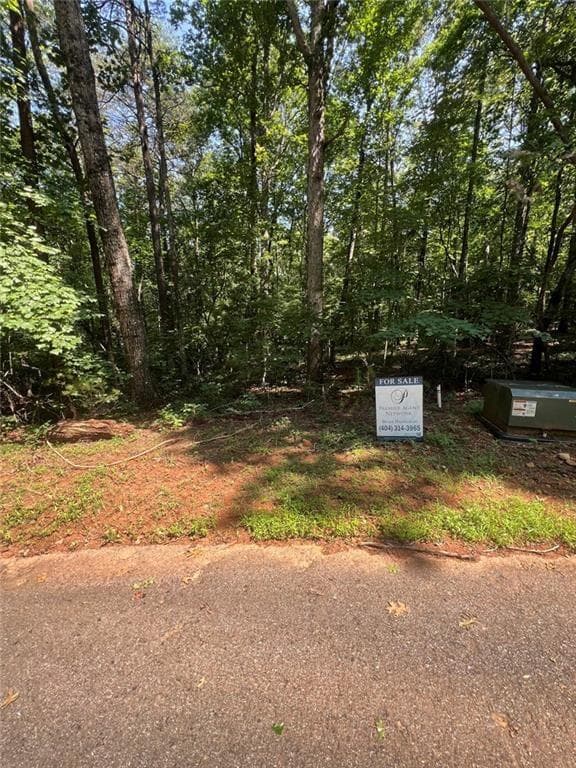 single family residence for sale at 85 VIA MASSA, Dahlonega, GA 30533 — photo 9