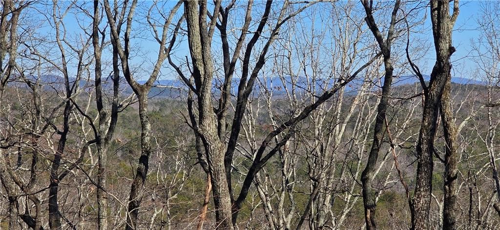multi family for sale at 877 Lake Arrowhead Drive, Waleska, GA 30183 — photo 2