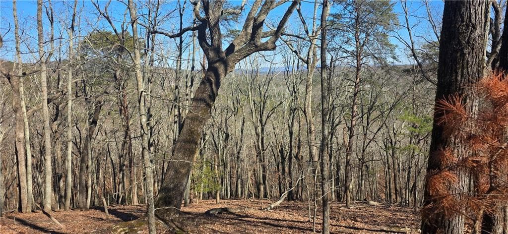 multi family for sale at 877 Lake Arrowhead Drive, Waleska, GA 30183 — photo 3