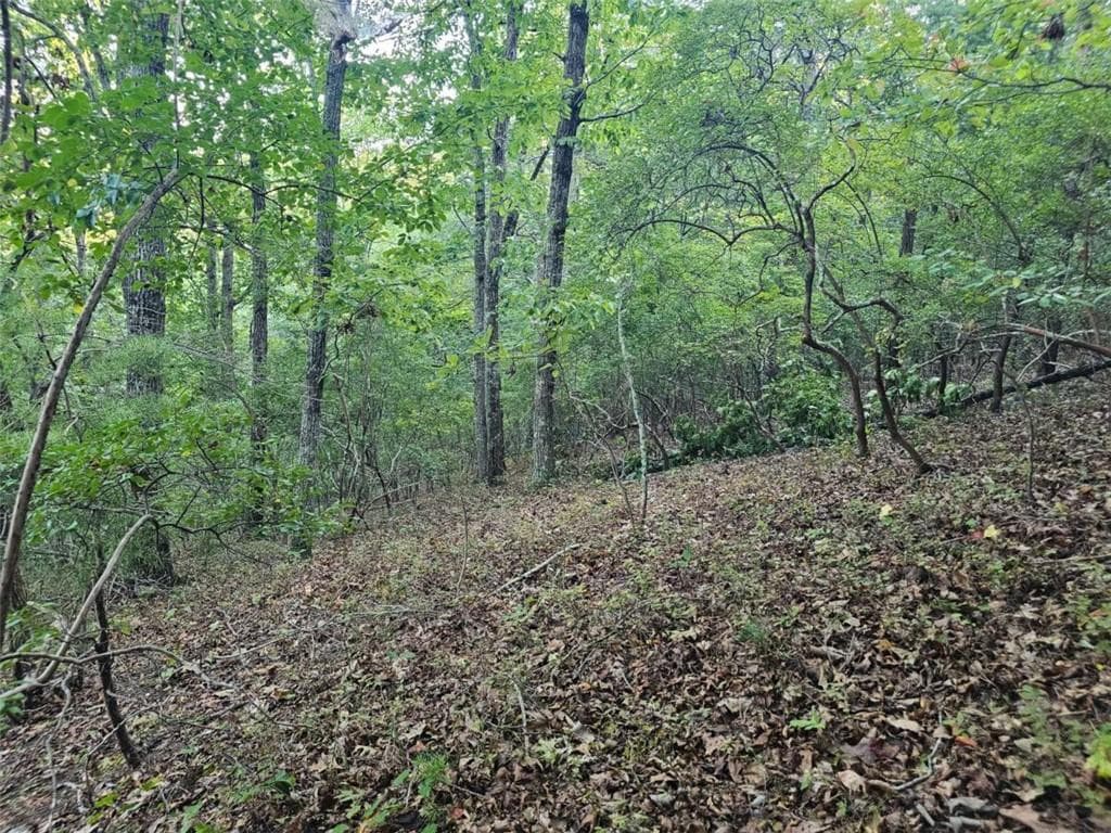 single family residence for sale at 391 Meteor Court, Ranger, GA 30734 — photo 8