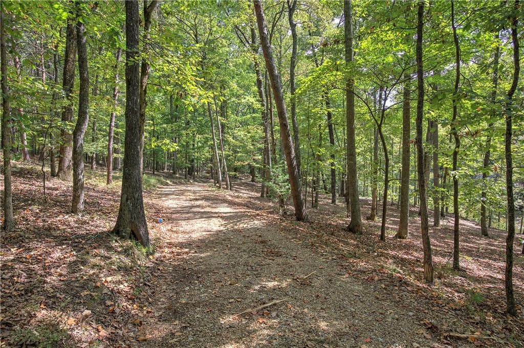 4 bedroom, 5 bathroom, 3,923 sq ft single family residence for sale at 1218 Hightower Road, Cedartown, GA 30125 — photo 9