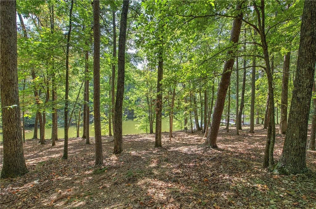 4 bedroom, 5 bathroom, 3,923 sq ft single family residence for sale at 1218 Hightower Road, Cedartown, GA 30125 — photo 10