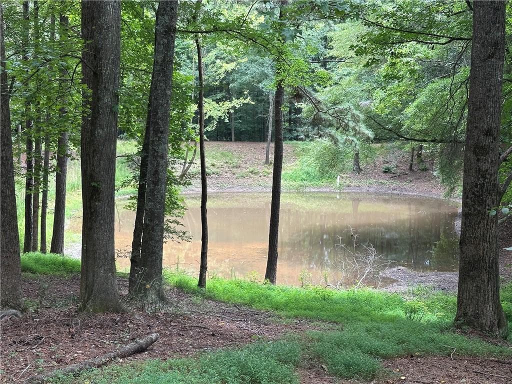 unimproved land for sale at 1701 Liberty Grove Road, Alpharetta, GA 30004 — photo 2