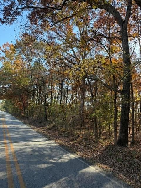 single family residence for sale at 0 Adams Road, Covington, GA 30014 — photo 2