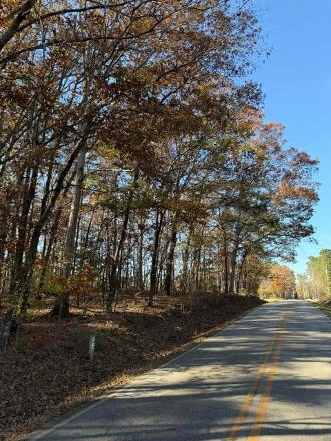 single family residence for sale at 0 Adams Road, Covington, GA 30014 — photo 3