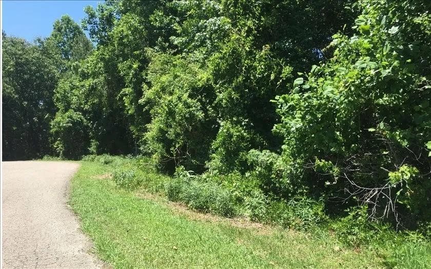 unimproved land for sale at Lot 10 Mill Creek Drive, Jasper, GA 30143 — photo 2