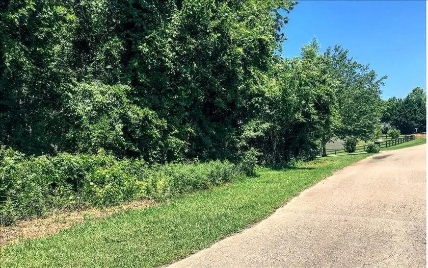 unimproved land for sale at Lot 10 Mill Creek Drive, Jasper, GA 30143 — photo 5