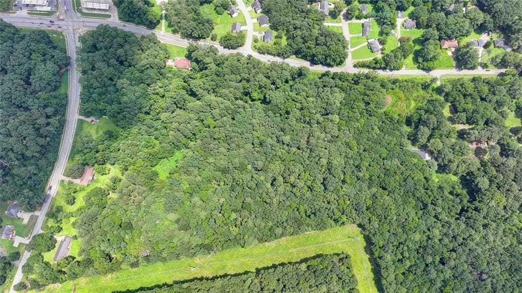 unimproved land for sale at 3825 Panthersville Road, Ellenwood, GA 30294 — photo 10