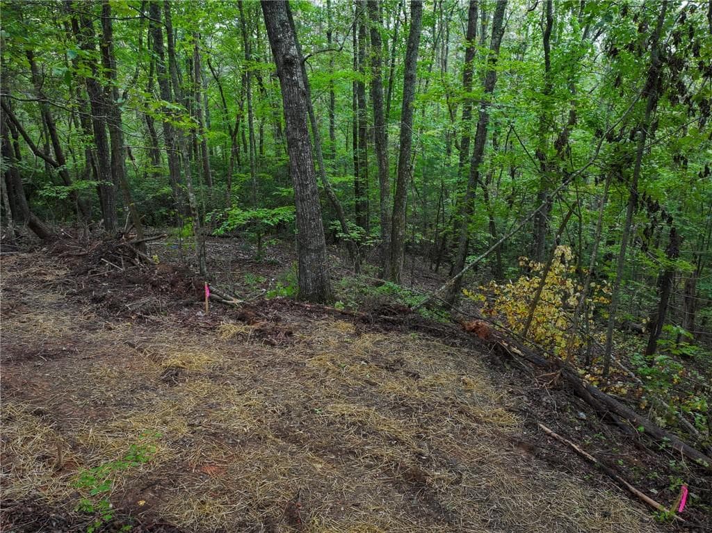 single family residence for sale at 0 Adrianne Lane, Dawsonville, GA 30534 — photo 5