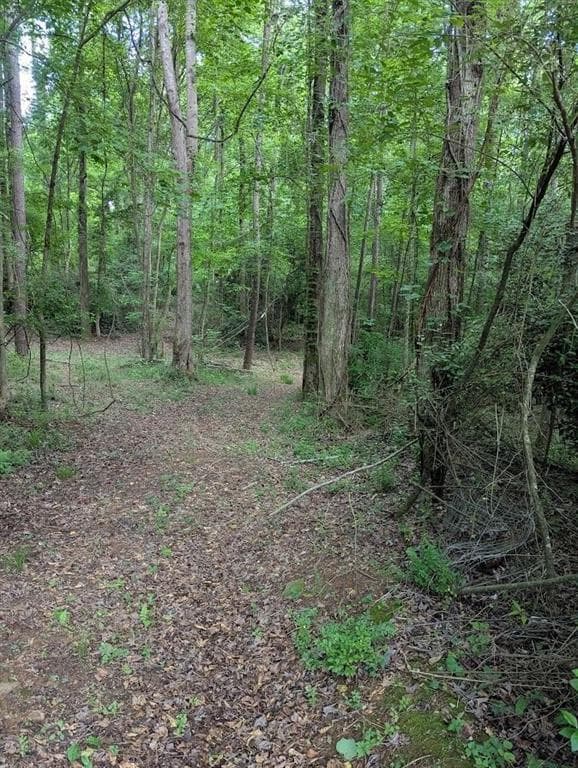 unimproved land for sale at 2773 River Road, Ellenwood, GA 30294