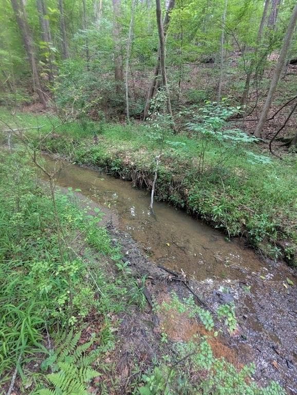 unimproved land for sale at 2773 River Road, Ellenwood, GA 30294 — photo 2