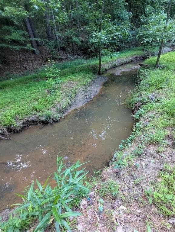 unimproved land for sale at 2773 River Road, Ellenwood, GA 30294 — photo 3