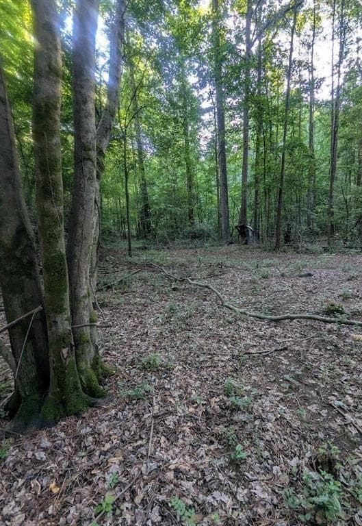 unimproved land for sale at 2773 River Road, Ellenwood, GA 30294 — photo 4