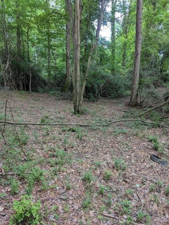 unimproved land for sale at 2773 River Road, Ellenwood, GA 30294 — photo 5