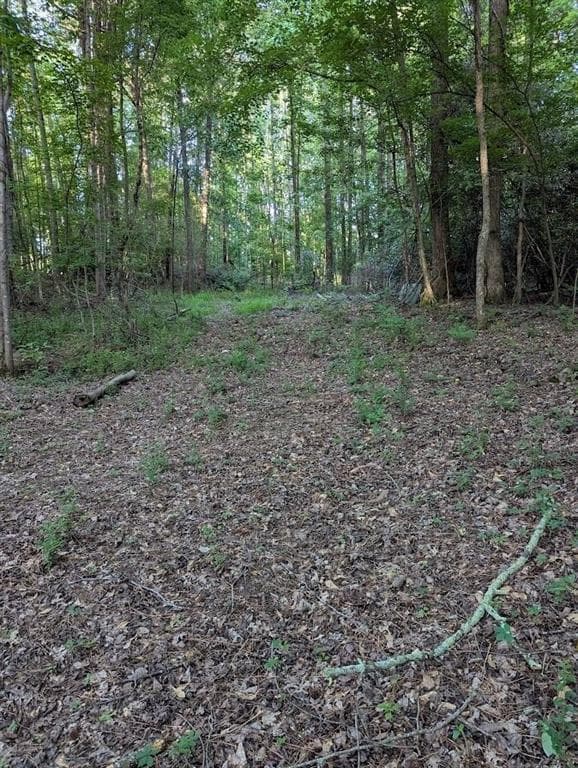unimproved land for sale at 2773 River Road, Ellenwood, GA 30294 — photo 6