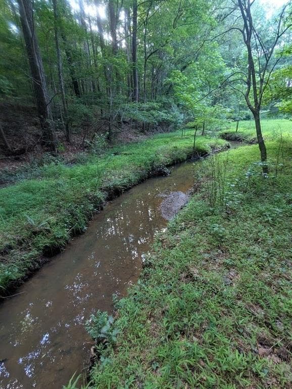 unimproved land for sale at 2773 River Road, Ellenwood, GA 30294 — photo 7