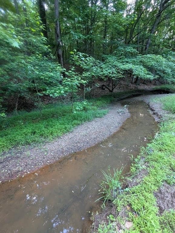 unimproved land for sale at 2773 River Road, Ellenwood, GA 30294 — photo 8