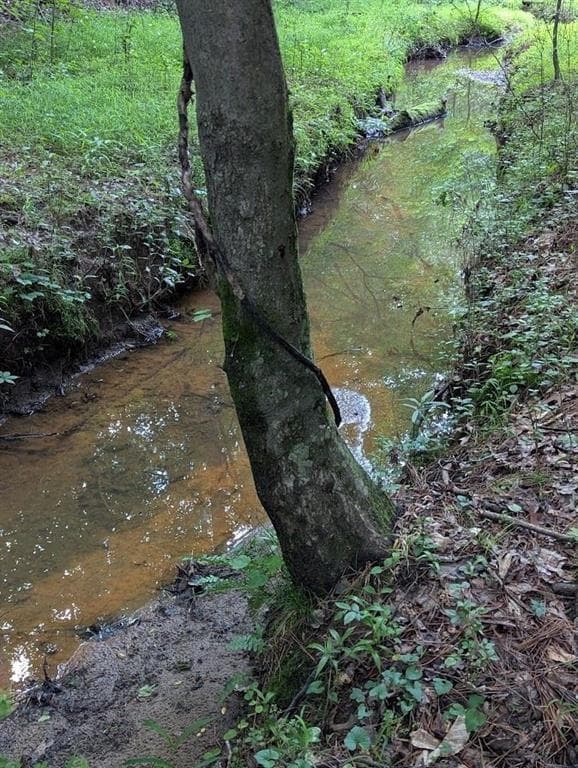 unimproved land for sale at 2773 River Road, Ellenwood, GA 30294 — photo 9