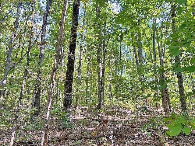unimproved land for sale at 0 Piney Spur Road, Ellijay, GA 30536 — photo 3