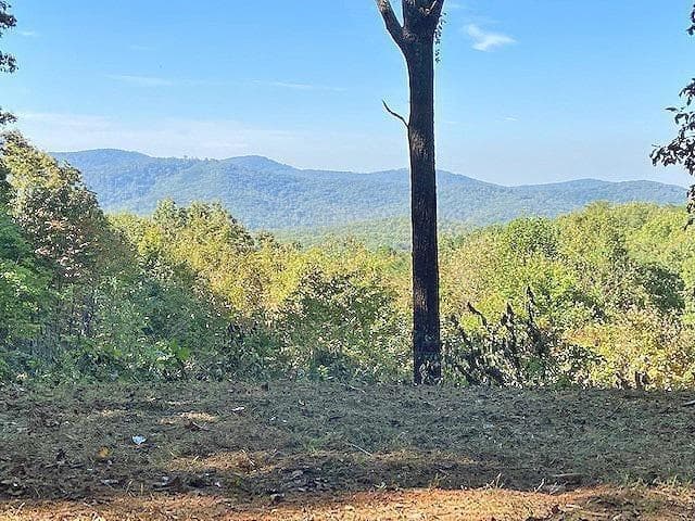 unimproved land for sale at 0 Piney Spur Road, Ellijay, GA 30536 — photo 4