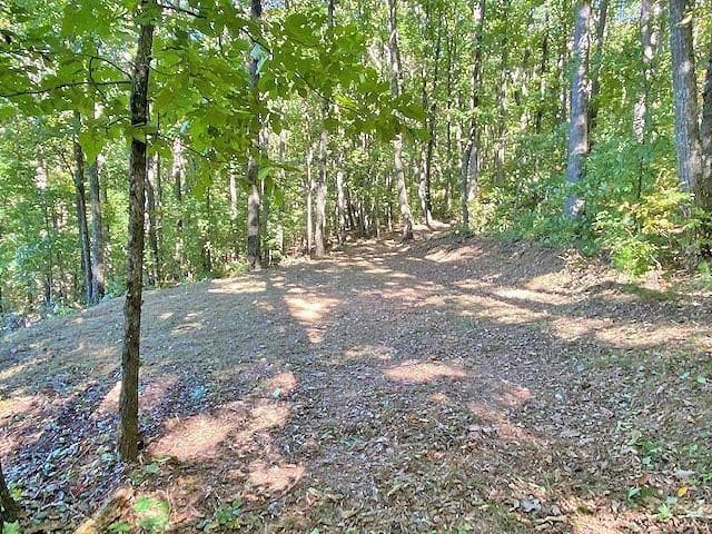 unimproved land for sale at 0 Piney Spur Road, Ellijay, GA 30536 — photo 5