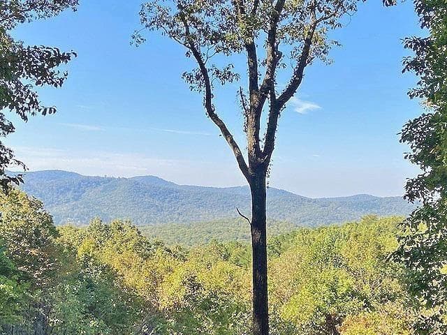 unimproved land for sale at 0 Piney Spur Road, Ellijay, GA 30536 — photo 6