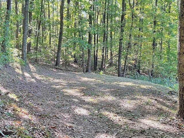 unimproved land for sale at 0 Piney Spur Road, Ellijay, GA 30536 — photo 7