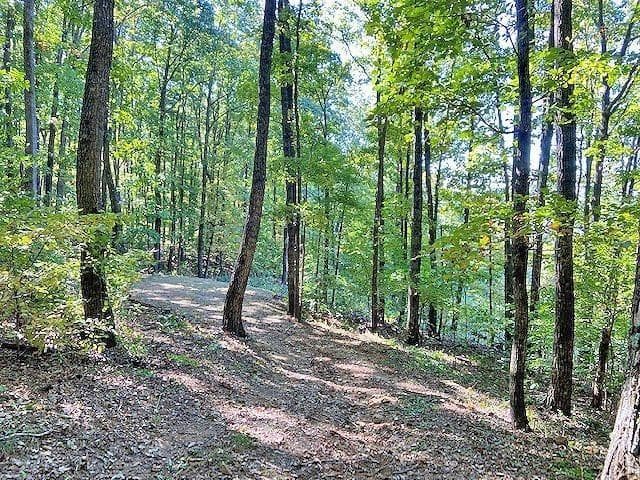 unimproved land for sale at 0 Piney Spur Road, Ellijay, GA 30536 — photo 8