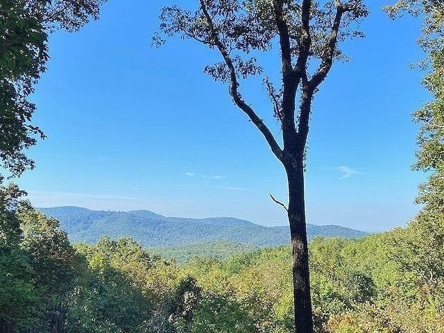 unimproved land for sale at 0 Piney Spur Road, Ellijay, GA 30536 — photo 9