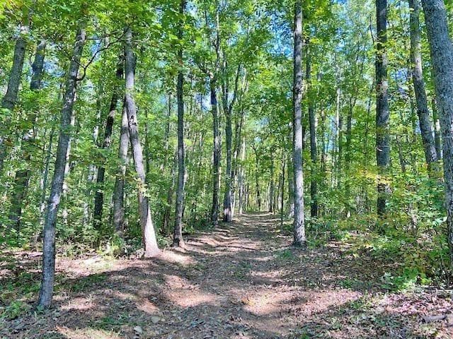 unimproved land for sale at 0 Piney Spur Road, Ellijay, GA 30536 — photo 10