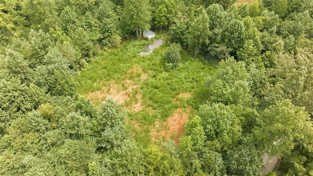unimproved land for sale at 759 Fairview Road, Pendergrass, GA 30567 — photo 4