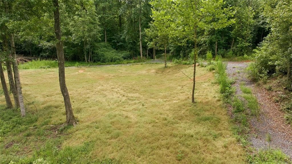 unimproved land for sale at 759 Fairview Road, Pendergrass, GA 30567 — photo 9